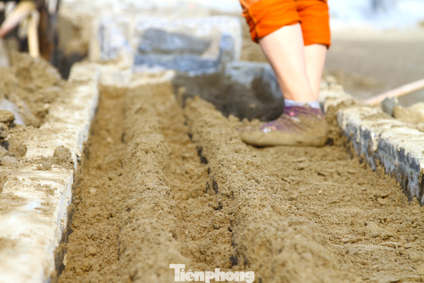 Đất sau khi phơi khô sẽ được đưa vào khu vực lọc để lấy phần nước có nồng độ mặn cao nhất.