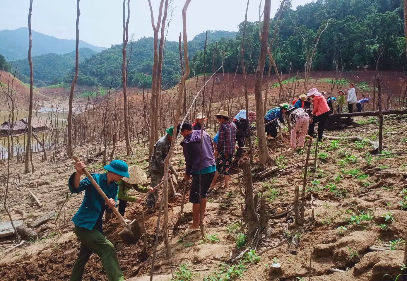"Nay có đường tạm, cầu tạm để đi ra bến thuyền, bà con và người dân đỡ khổ hẳn", Phó Bí thư xã Hữu Khuông (Tương Dương, Nghệ An) chia sẻ.