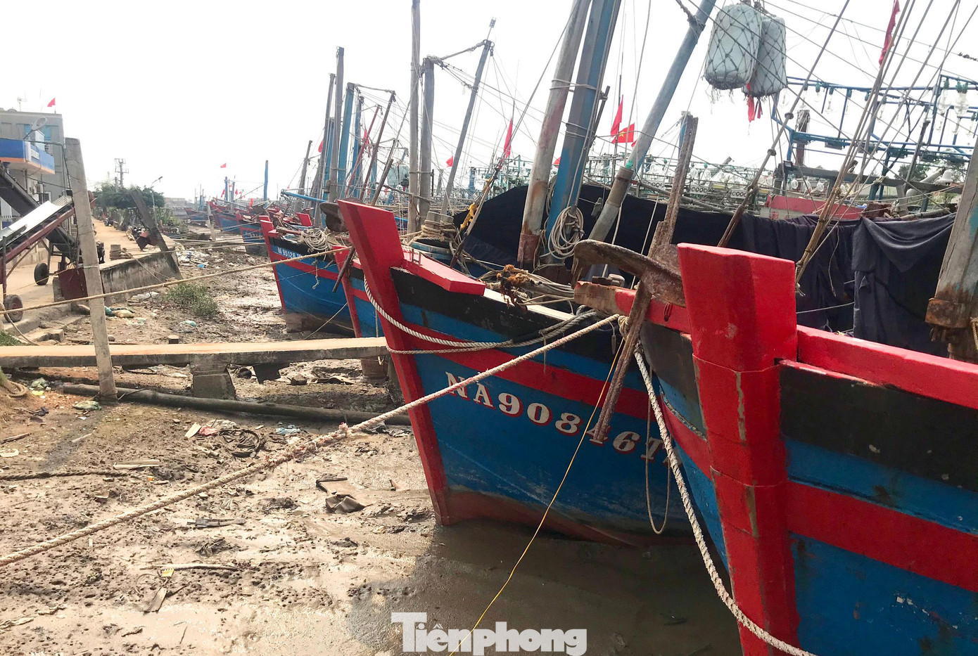 Giá xăng dầu tăng cao, liên tục đạt đỉnh thời gian qua đã khiến việc vươn khơi đánh bắt thuỷ hải sản của ngư dân Nghệ An gặp vô vàn khó khăn. Chuyến trước lỗ, lại hy vọng vào chuyến sau. Nhưng hễ đi là lỗ, vì đánh bắt chẳng được gì, ngư dân lần lượt neo đậu tàu thuyền rồi lên bờ tìm kế sinh nhai. Giá xăng dầu tăng cao, liên tục đạt đỉnh thời gian qua đã khiến việc vươn khơi đánh bắt thuỷ hải sản của ngư dân Nghệ An gặp vô vàn khó khăn. Chuyến trước lỗ, lại hy vọng vào chuyến sau. Nhưng hễ đi là lỗ, vì đánh bắt chẳng được gì, ngư dân lần lượt neo đậu tàu thuyền rồi lên bờ tìm kế sinh nhai.