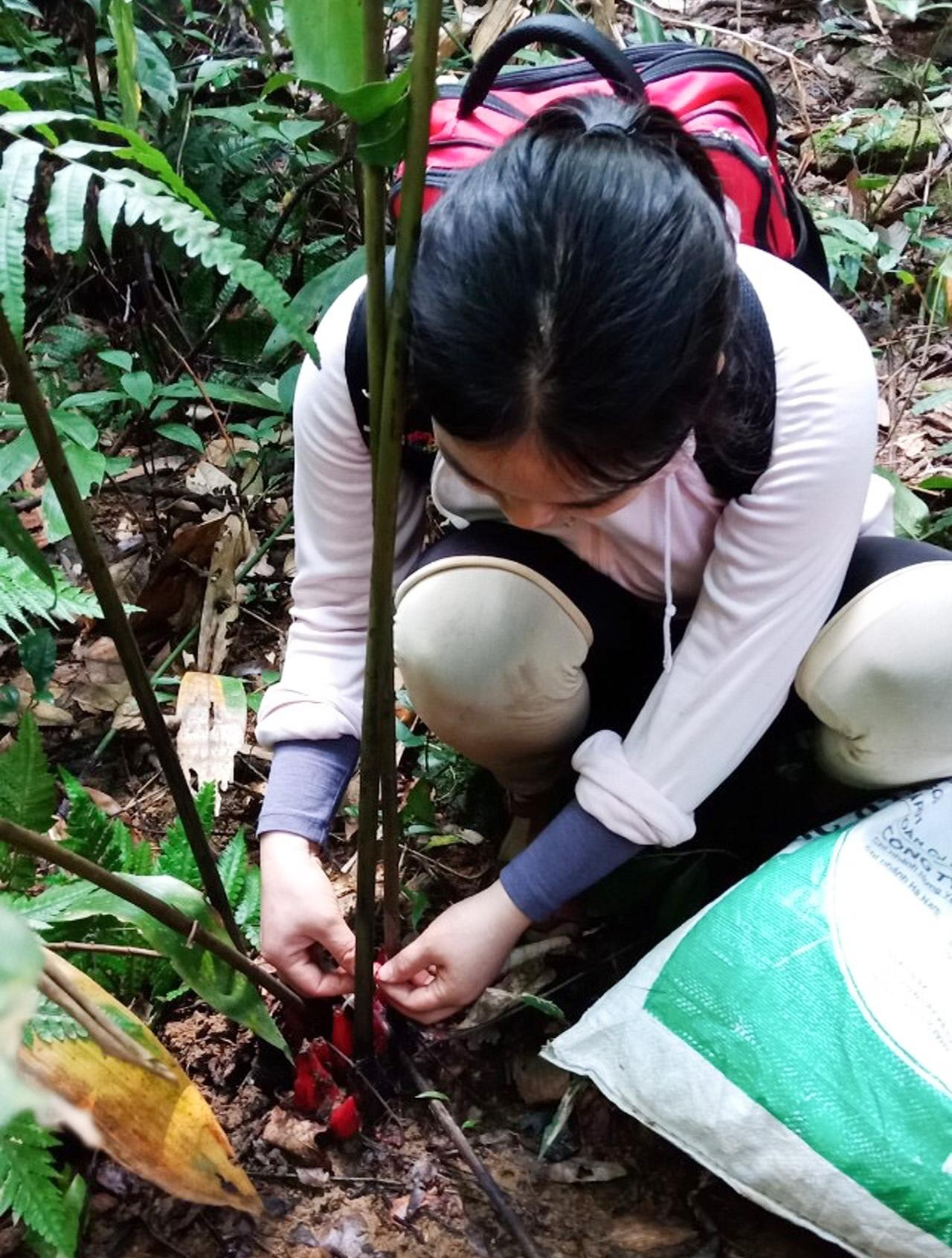 Niềm đam mê và sự sẻ chia của gia đình, ủng hộ của nhà trường đã tạo nên thành công của nữ Phó Giáo sư trẻ nhất Việt Nam 2020.