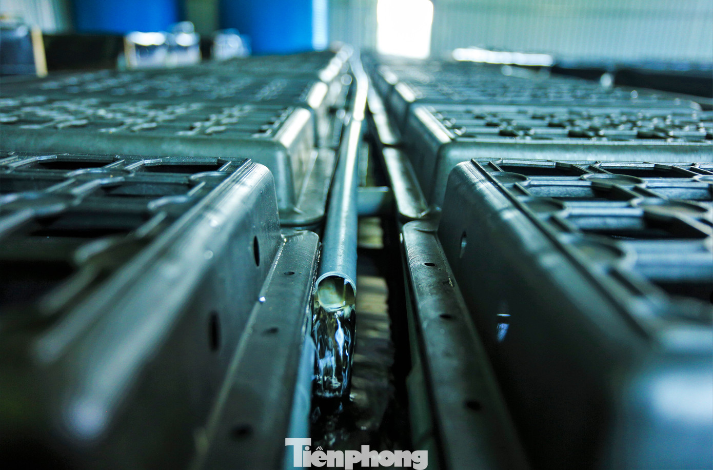 Hệ thống nước đầu vào được bơm liên tục theo nguyên lý tuần hoàn, sục khí tạo oxy. Khi đưa nước vào hộp nuôi cua, thức ăn thừa và chất cặn bẩn thải ra và đi qua hệ thống lọc thô, sau đó ra bể vi sinh và hệ thống khử khuẩn bằng tia UV.