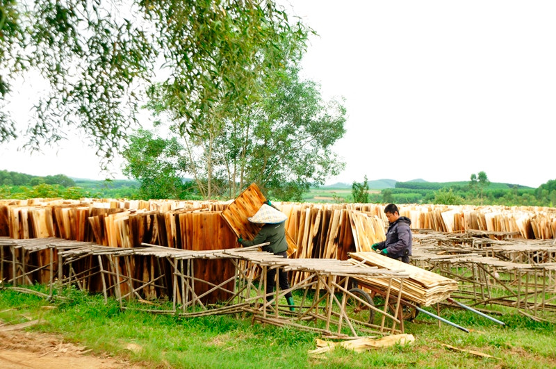 Khu tái định cư cho 54 hộ dân vùng ngập nước ven hồ Vực Mấu thuộc xã Quỳnh Thắng 12 năm qua không một hộ dân đến ở.