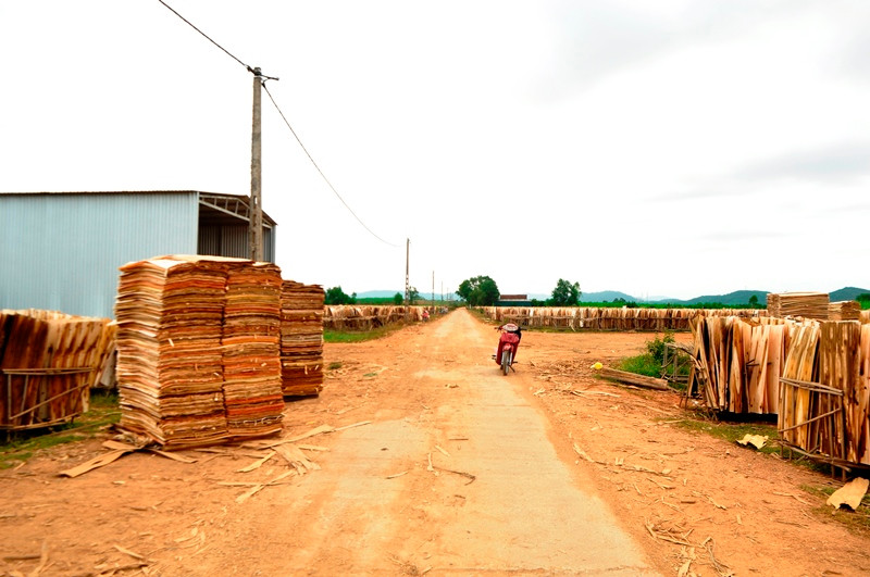 Khu tái định cư cho 54 hộ dân vùng ngập nước thành nơi tập kết gỗ ván ép.