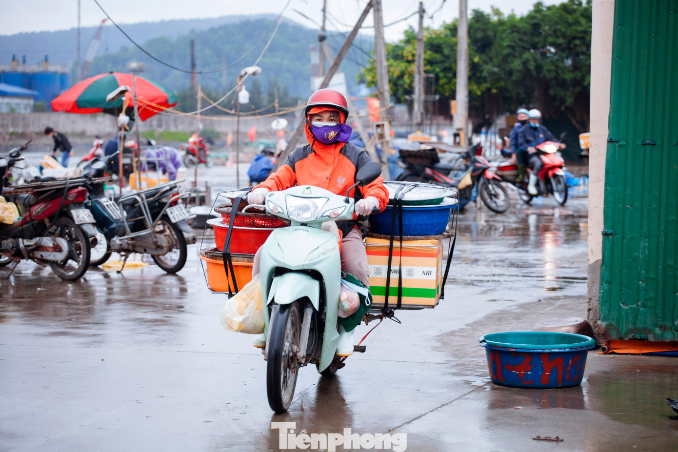 Xuất phát từ chiều cho đến sáng, ngư dân ở đây chủ yếu đánh bắt gần bờ bằng thuyền nhỏ nên mỗi ngày có thể đi đến vài chuyến, cứ thuyền đầy tôm cá là lại cập bờ. Vì vậy dịp đầu năm, nhiều ngư dân đã trúng lớn khi thu về hàng tạ cá trích, tôm, cua...