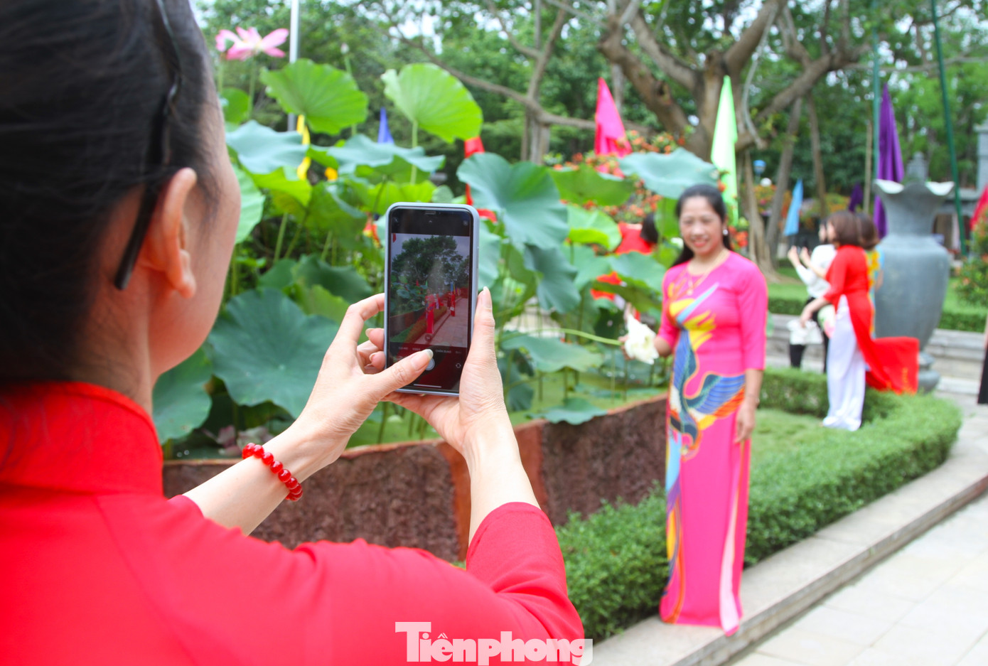 Du khách chụp hình lưu niệm bên những bông hoa sen đặc trưng trên quê hương Bác.