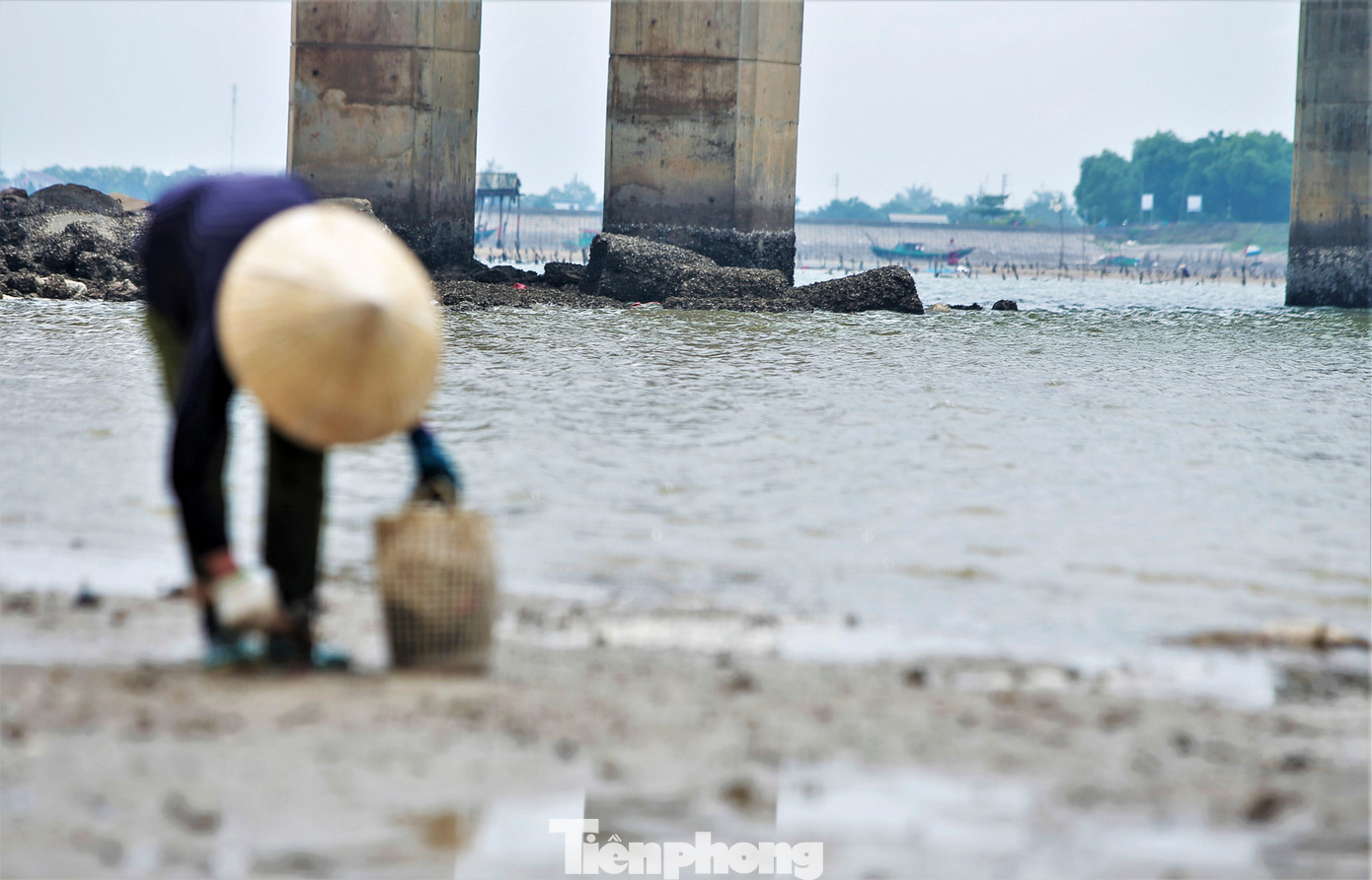 Qua thời gian lâu ngày, các khối bê tông này đã bị các vỏ sò bám dính trắng xóa. Cảnh luồng lạch bị thu hẹp, cản trở bởi hàng trăm tấn rác đá, bê tông kéo dài gần 10 năm qua.