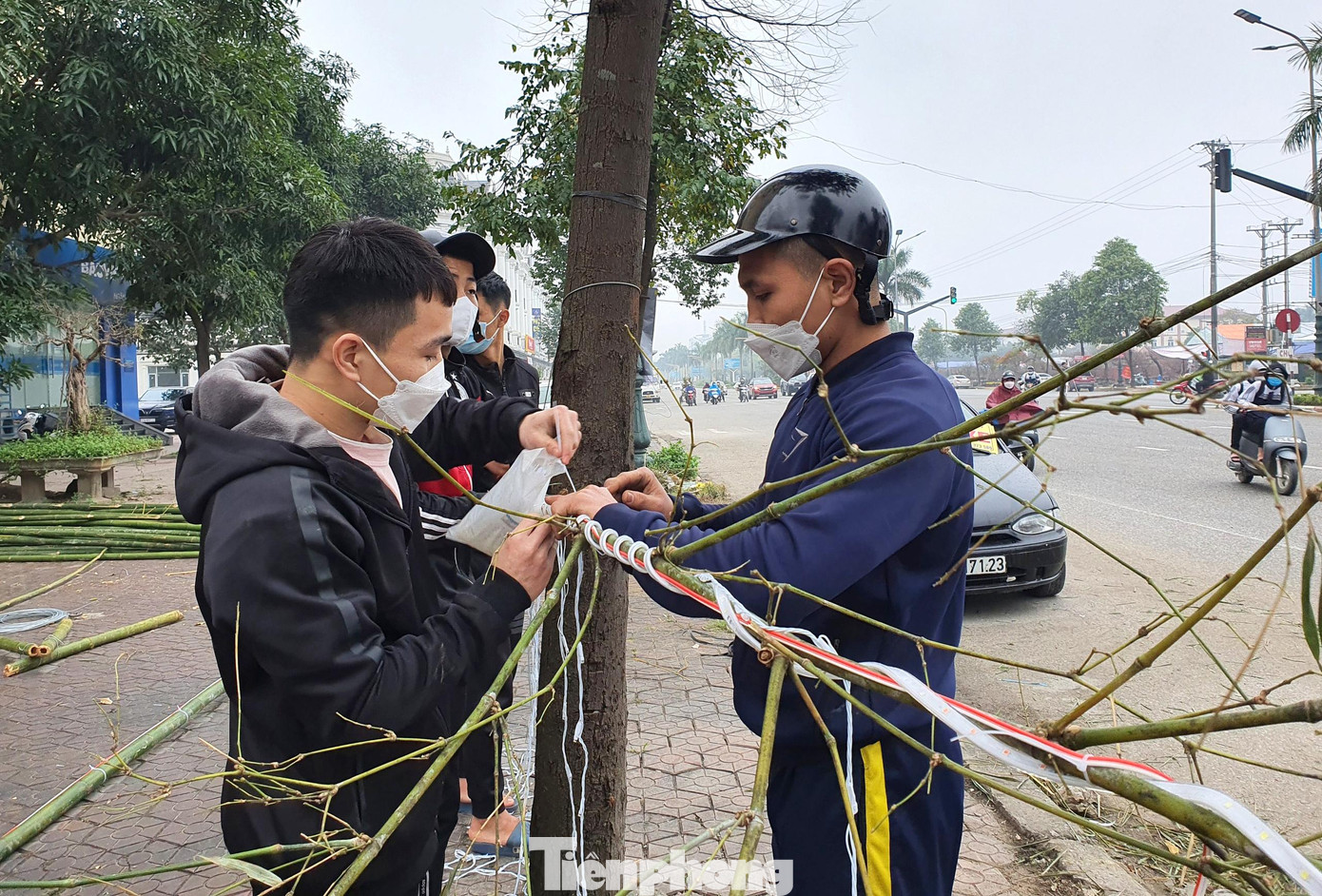 Đây là những cây tre già, thẳng và cao từ 10-15m, được lau sạch nhánh và trừ lại ngọn. Mỗi cây hiện có giá từ 150.000 - 300.000 đồng.