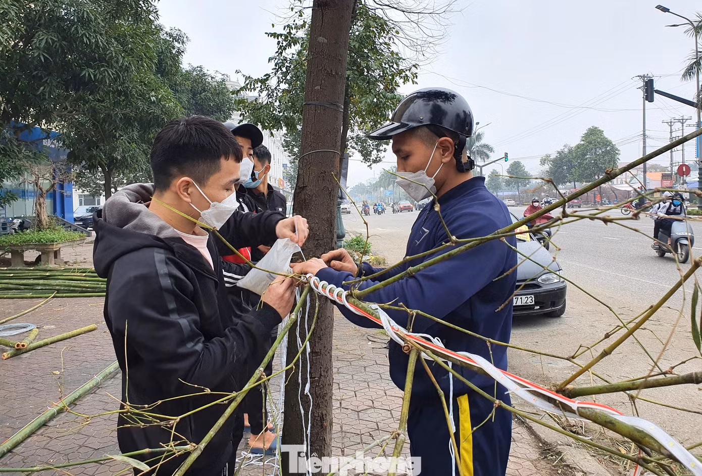 Đây là những cây tre già, thẳng và cao từ 10-15m, được lau sạch nhánh và trừ lại ngọn. Mỗi cây hiện có giá từ 150.000 - 300.000 đồng.