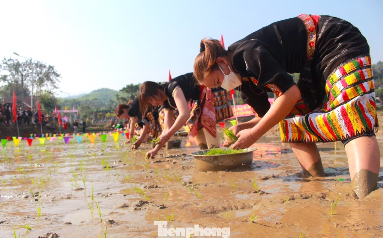 Cuộc thi tổ chức sẽ có nhiều đội đại diện cho các xóm tham dự. Mỗi xóm sẽ có 4-5 thành viên. Đây là những người phụ nữ cấy giỏi nhất do các xóm lựa chọn để tham gia thi. Cuộc thi tổ chức sẽ có nhiều đội đại diện cho các xóm tham dự. Mỗi xóm sẽ có 4-5 thành viên. Đây là những người phụ nữ cấy giỏi nhất do các xóm lựa chọn để tham gia thi.