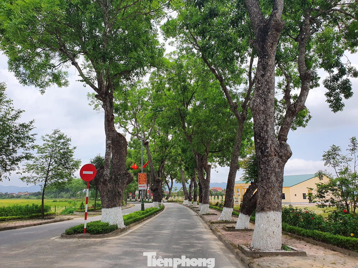 Theo ông Lộc, tuyến đường 540 trước đây vốn là đường đất, chỉ rộng hơn 3m. Để đáp ứng nhu cầu phát triển của địa phương, cũng như thuận lợi cho du khách đi lại khi đến với quê Bác, tuyến đường được đầu tư mở rộng năm 2012.