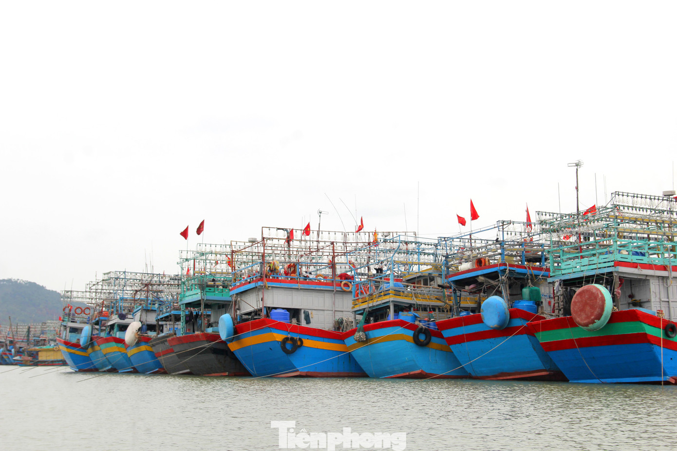 “Sang Đài Loan cũng đi biển, đi từng ngày về nhưng mỗi tháng còn kiếm được 20-30 triệu đồng, còn ở nhà đi từ đầu năm đến cuối năm cũng chỉ vài chục triệu, chẳng ăn thua gì”, Vương nói và cho biết thêm, hiện thanh niên trong xã phần lớn đều chán nghề biển, bỏ đi làm thuê hoặc xuất khẩu lao động. “Sang Đài Loan cũng đi biển, đi từng ngày về nhưng mỗi tháng còn kiếm được 20-30 triệu đồng, còn ở nhà đi từ đầu năm đến cuối năm cũng chỉ vài chục triệu, chẳng ăn thua gì”, Vương nói và cho biết thêm, hiện thanh niên trong xã phần lớn đều chán nghề biển, bỏ đi làm thuê hoặc xuất khẩu lao động.