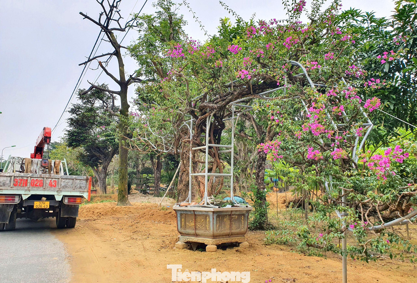 Kích thước quá khổ, mỗi lần vận chuyển cũng buộc phải sử dụng đến xe cẩu chuyên dụng.