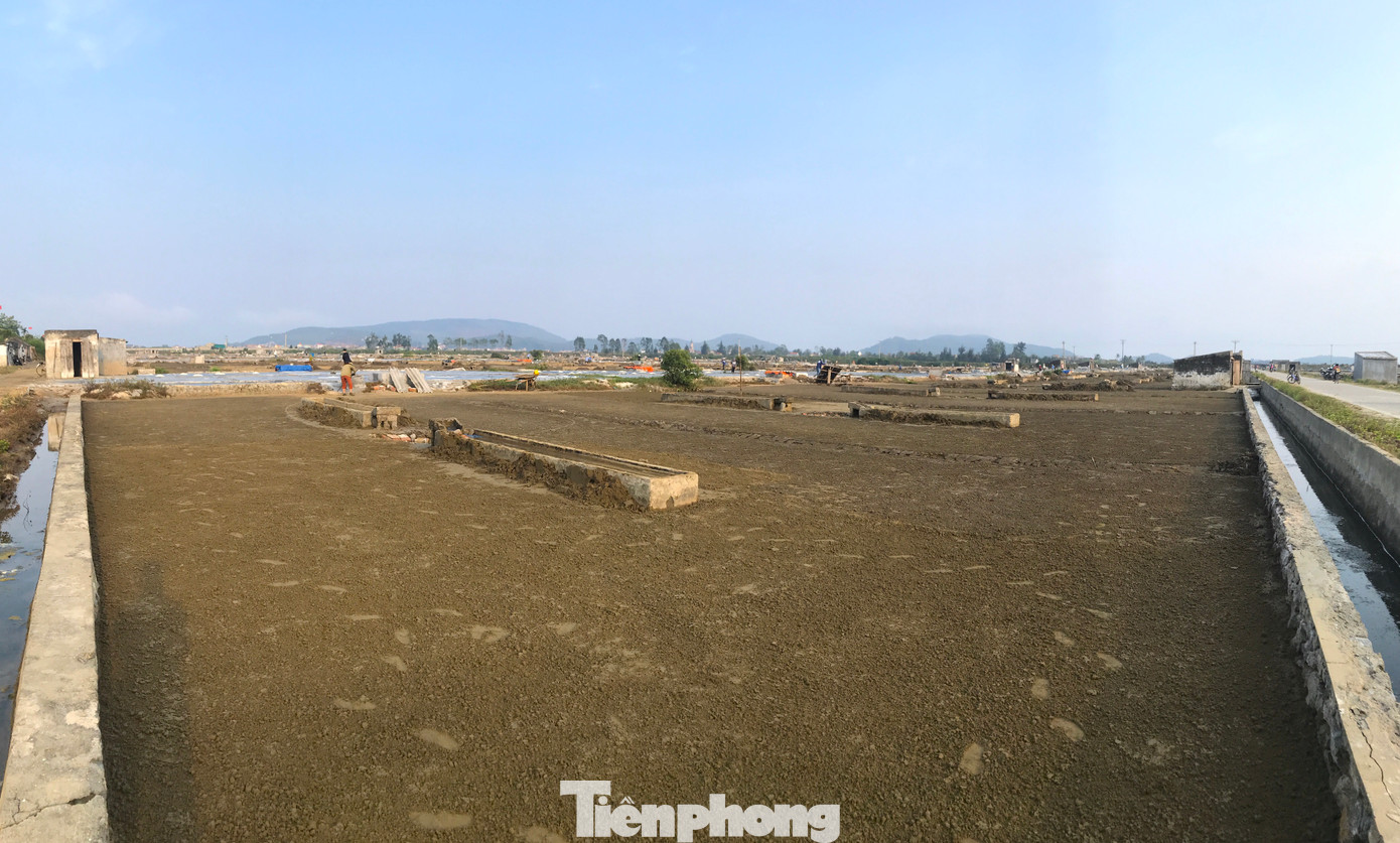 Toàn xã có 113 ha diện tích được sản xuất muối dinh dưỡng vi chất khoáng tự nhiên.