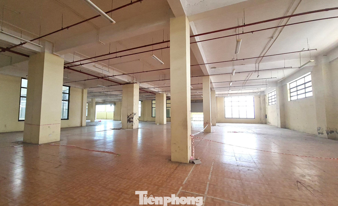 Tầng 1 chợ Vinh được bố trí các ngành hàng: Tân dược - dụng cụ y tế, giày dép, mũ cặp, văn hóa phẩm; tầng 2 bố trí các ngành hàng: May mặc sẵn, vải, chăn ga, gối đệm; toàn bộ tầng 3 sử dụng để bố trí khu hành chính, văn phòng cho thuê và các dịch vụ khác. Tầng 1 chợ Vinh được bố trí các ngành hàng: Tân dược - dụng cụ y tế, giày dép, mũ cặp, văn hóa phẩm; tầng 2 bố trí các ngành hàng: May mặc sẵn, vải, chăn ga, gối đệm; toàn bộ tầng 3 sử dụng để bố trí khu hành chính, văn phòng cho thuê và các dịch vụ khác.