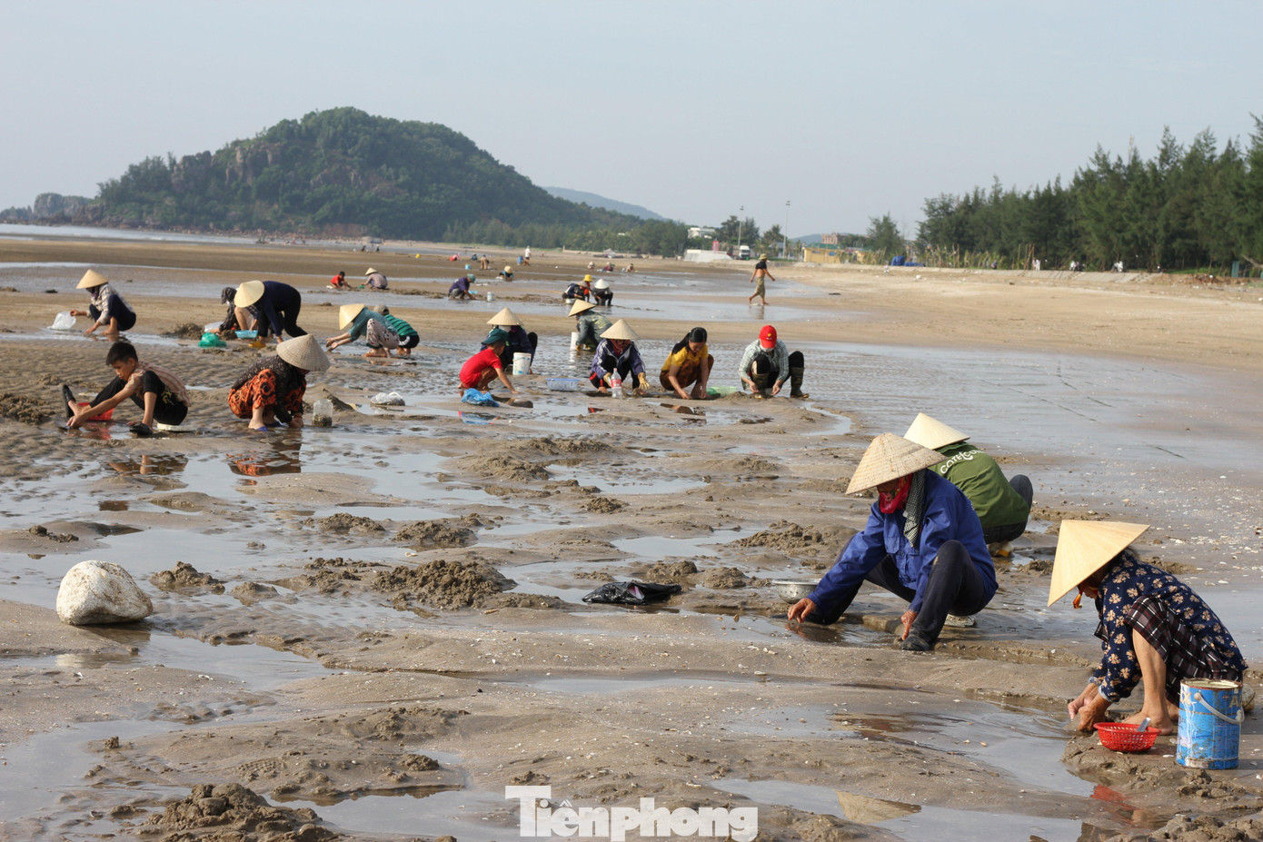 Đây cũng là thời điểm người dân địa phương đi lấy “lộc biển”. Chừng 4h sáng hàng ngày, bà Quỳnh cùng hàng trăm người khác đã có mặt ở bãi biển để tìm ngao.