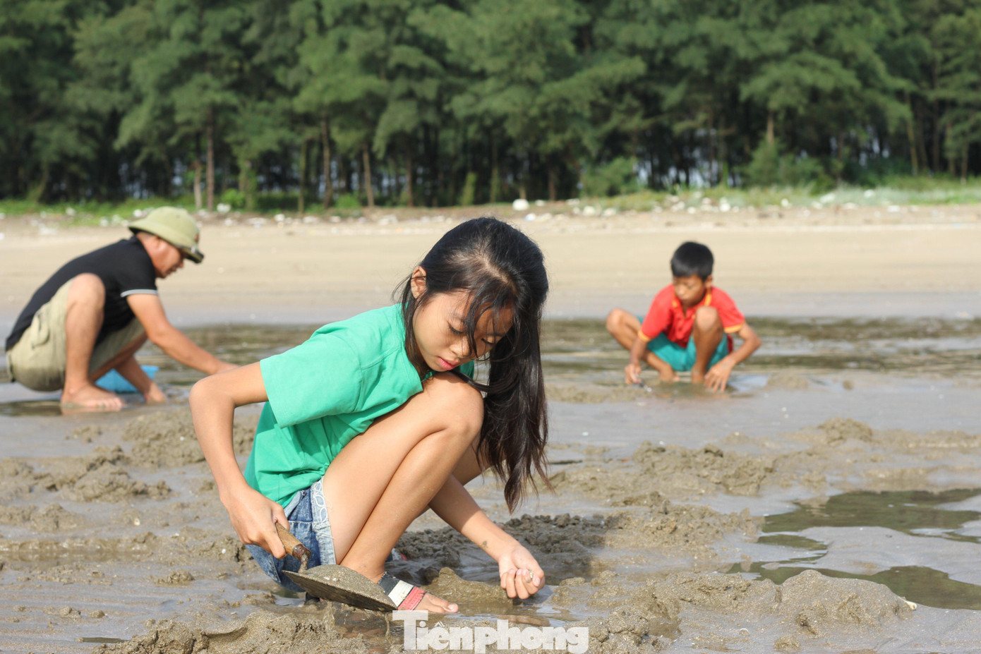 Nhiều em nhỏ cũng không kém, hì hục cào bắt ngao cùng bố mẹ.