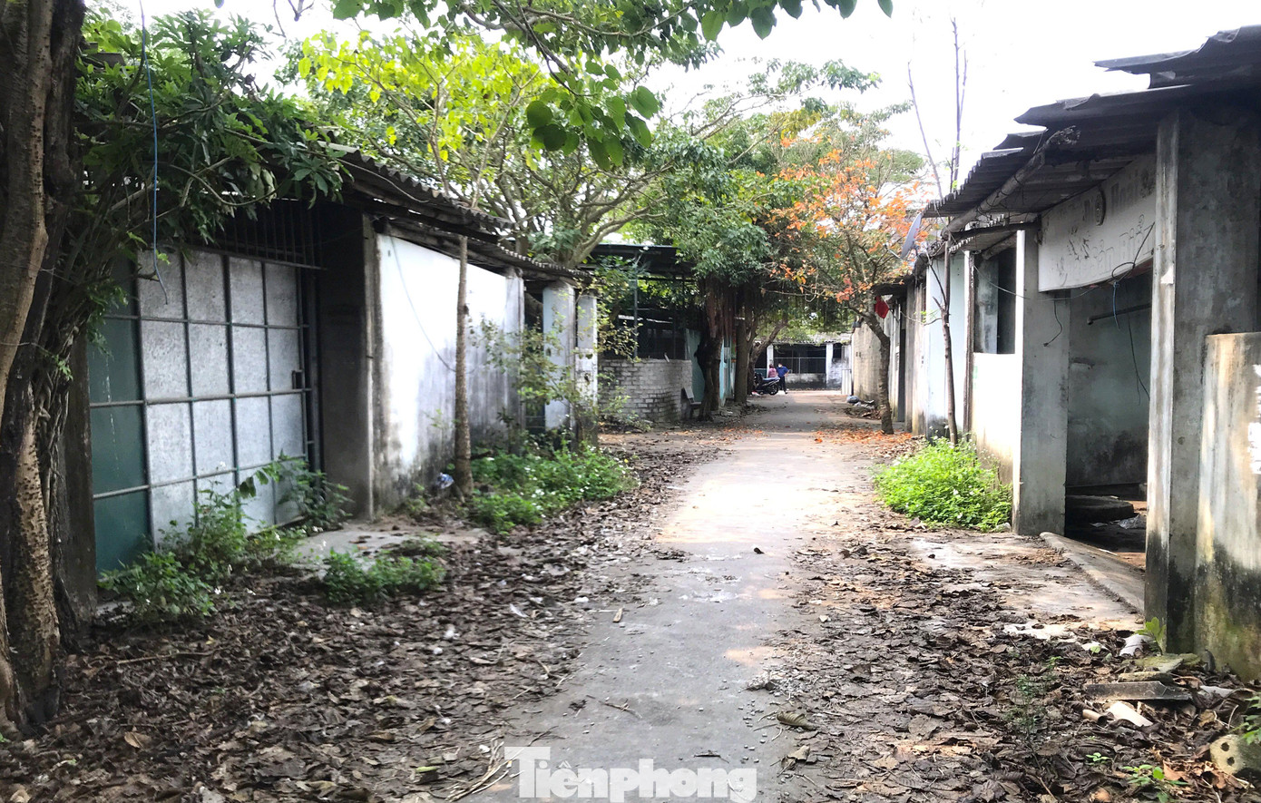 Sau khi công an thực hiện chiến dịch truy quét tệ nạn xã hội, chủ nhiều ki ốt khoá trái cửa, chuyển nghề.