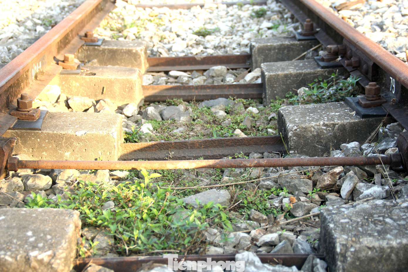 Dù chưa biết số phận tuyến đường sắt này sẽ đi về đâu, song công ty này vẫn luôn đảm bảo lực lượng bảo vệ tránh bị kẻ xấu phá hoại, tháo trộm sắt... Dù chưa biết số phận tuyến đường sắt này sẽ đi về đâu, song công ty này vẫn luôn đảm bảo lực lượng bảo vệ tránh bị kẻ xấu phá hoại, tháo trộm sắt...