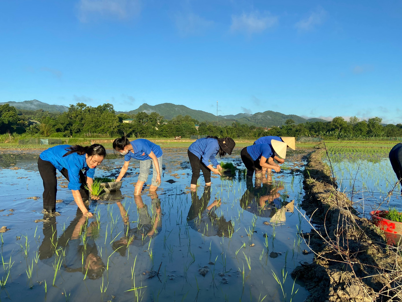 Tại xã Châu Hạnh (Quỳ Châu, Nghệ An), trong ngày 6/7, các đoàn viên thanh niên đã xuống đồng cấy lúa cho các gia đình neo đơn, hoàn cảnh khó khăn tại bản Tà Lạnh.