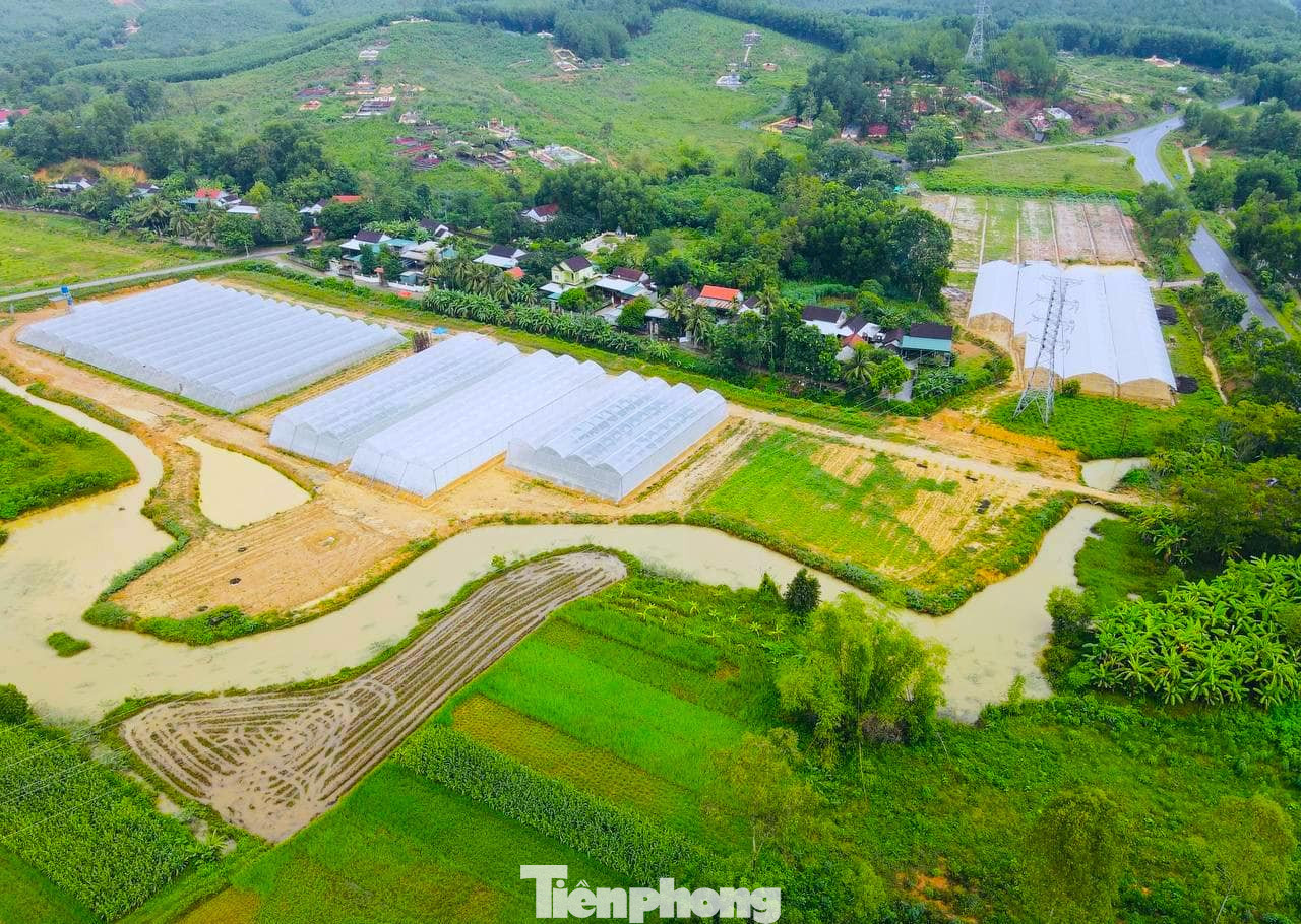 Chủ trang trại là anh Nguyễn Văn Tuấn (39 tuổi, trú tại xã Thịnh Sơn). Sau nhiều năm đi xuất khẩu lao động ở nhiều nước, anh Tuấn vẫn luôn trăn trở về giấc mơ làm giàu ngay trên mảnh đất mình sinh ra. Cuối cùng, khi tích góp được ít vốn, anh đã thực hiện được giấc mơ, biến mảnh đất cằn cỗi "đẻ" ra tiền.