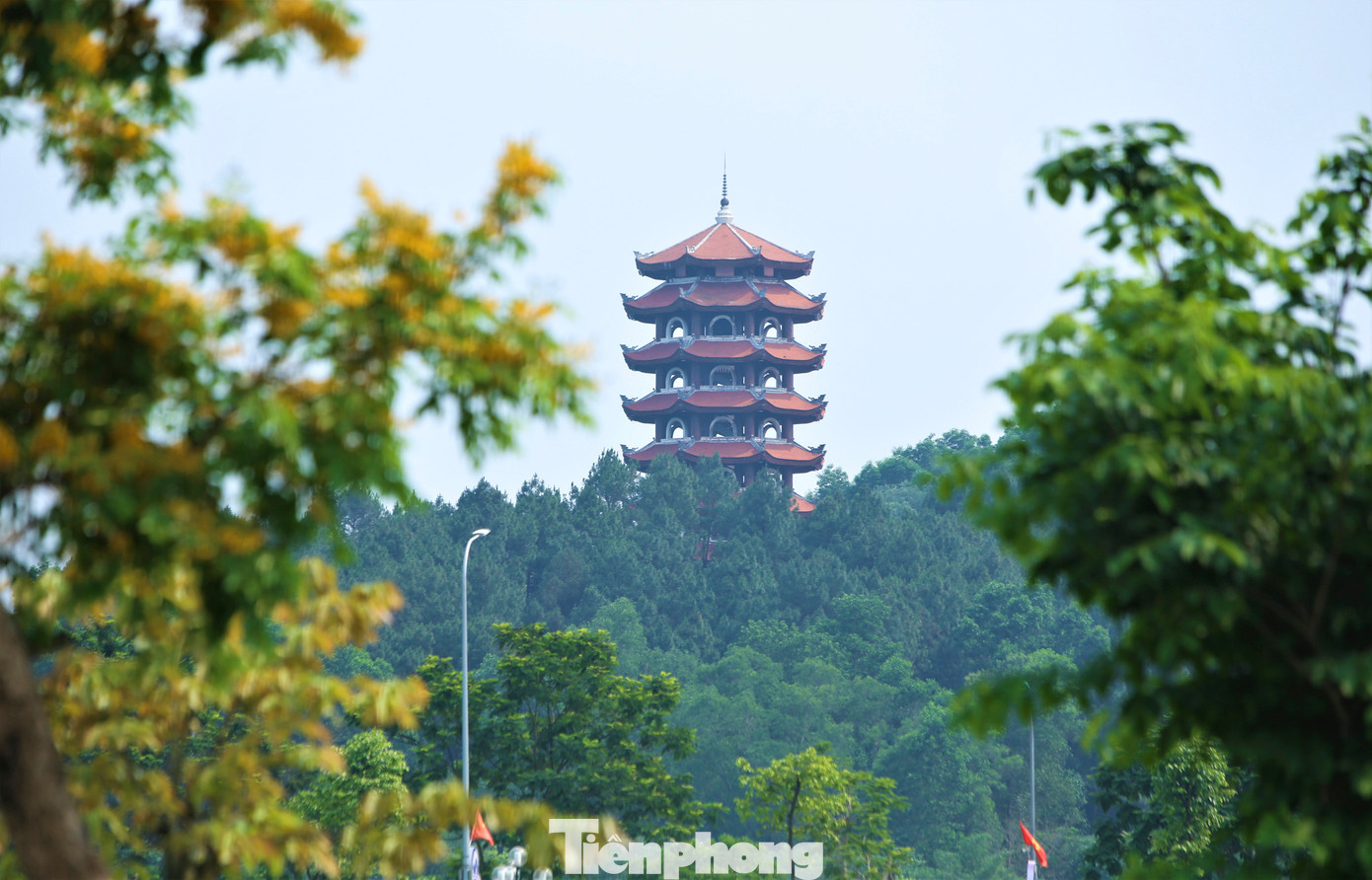Tháp chuông ẩn hiện sau màu vàng rực rỡ của hoa giáng hương.