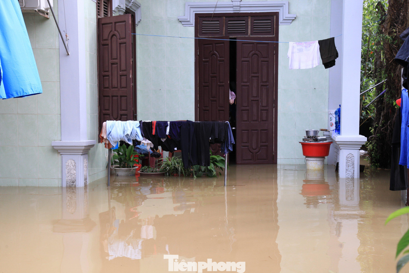 Khoảng 222 ha nuôi cá; 71 ha nuôi tôm (xã Quỳnh Bảng và xã Quỳnh Nghĩa) bị lũ tràn ngập. Khoảng 222 ha nuôi cá; 71 ha nuôi tôm (xã Quỳnh Bảng và xã Quỳnh Nghĩa) bị lũ tràn ngập.