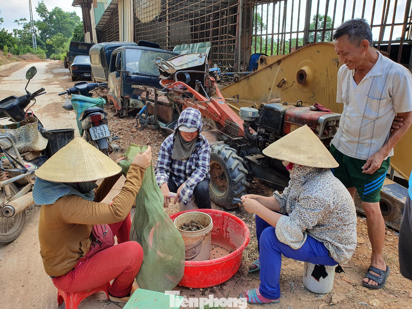 Anh Quân - một thương lái thu mua cua dọc quốc lộ 7 (huyện Đô Lương, Nghệ An) cho biết, trung bình mỗi ngày thu mua từ 5-6 tạ cua đồng.