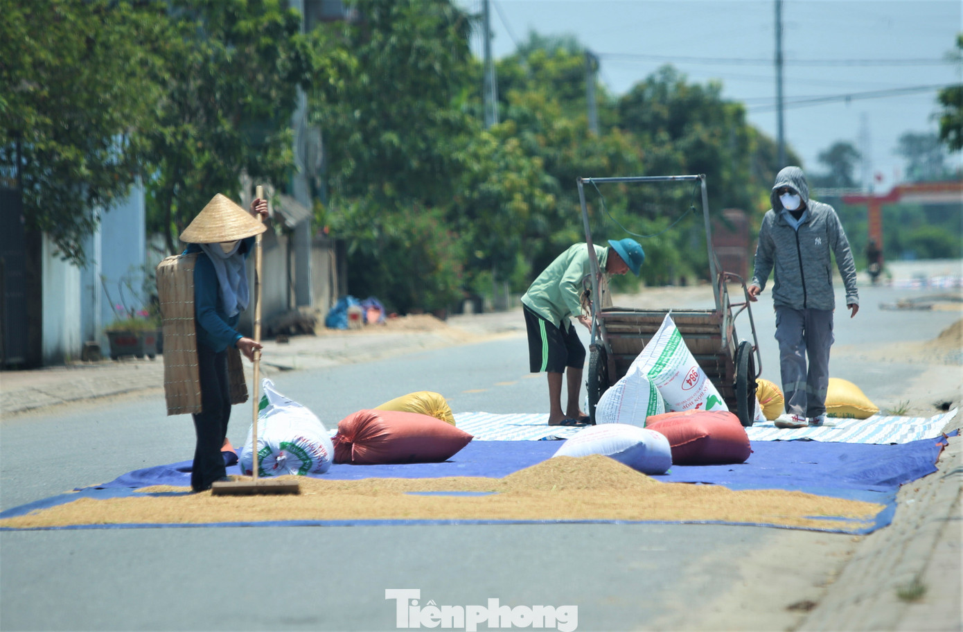 Lúa sau khi thu hoạch được phơi dọc các tuyến đường, ngõ xóm. Đài Khí tượng thủy văn Hà Tĩnh cảnh báo, đợt nắng nóng gay gắt có khả năng kéo dài đến hết ngày 22/5. Từ ngày 23/5 nền nhiệt độ sẽ giảm.