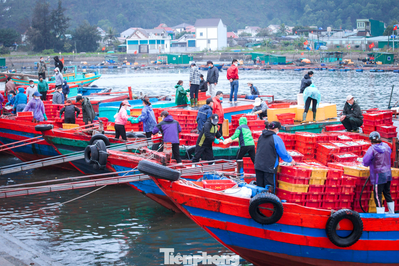 Theo một số ngư dân, đầu năm là sự khởi đầu để cầu mong may mắn nên các chủ tàu đều chọn ngày, giờ tốt để vươn khơi để mong chuyến ra khơi diễn ra thuận lợi về thời tiết, tàu thuyền đi về an toàn.