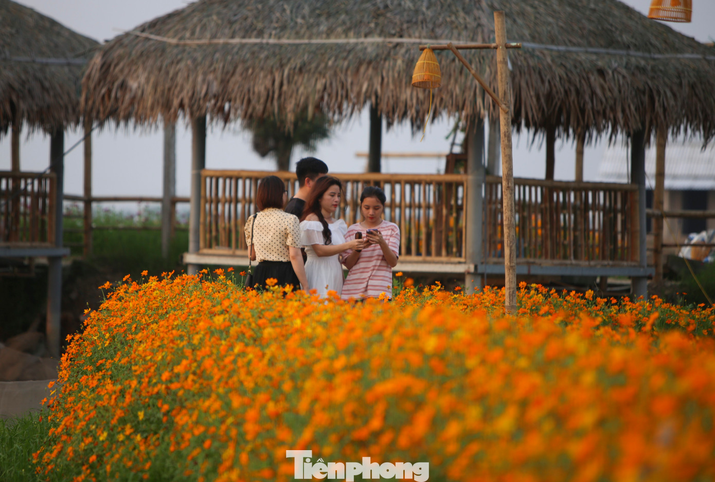 "Khu vực này là vùng đất trũng, hay ngập úng và khó canh tác lúa, là người con của quê hương tôi muốn tạo một không gian thật bình yên, vừa phát triển du lịch địa phương vừa là nơi để trở về sau những ngày làm việc. Mô hình này sẽ là điểm nhấn, công viên nông nghiệp giữa lòng thành phố để người dân và du khách trải nghiệm", anh Quyền nói.