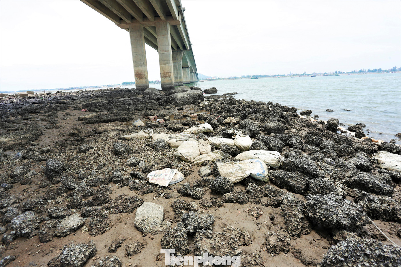 Hàng trăm tấn rác xây dựng dưới chân cầu Cửa Nhượng.