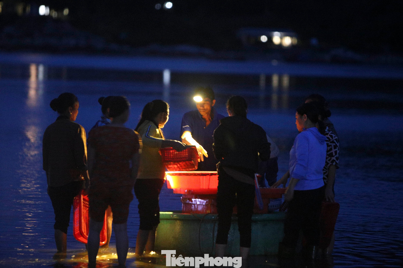 Dưới ánh đèn pin, những gánh mực, cá, tôm tươi rói được đưa từ thuyền vào, người dân nói cười tranh phần mua.