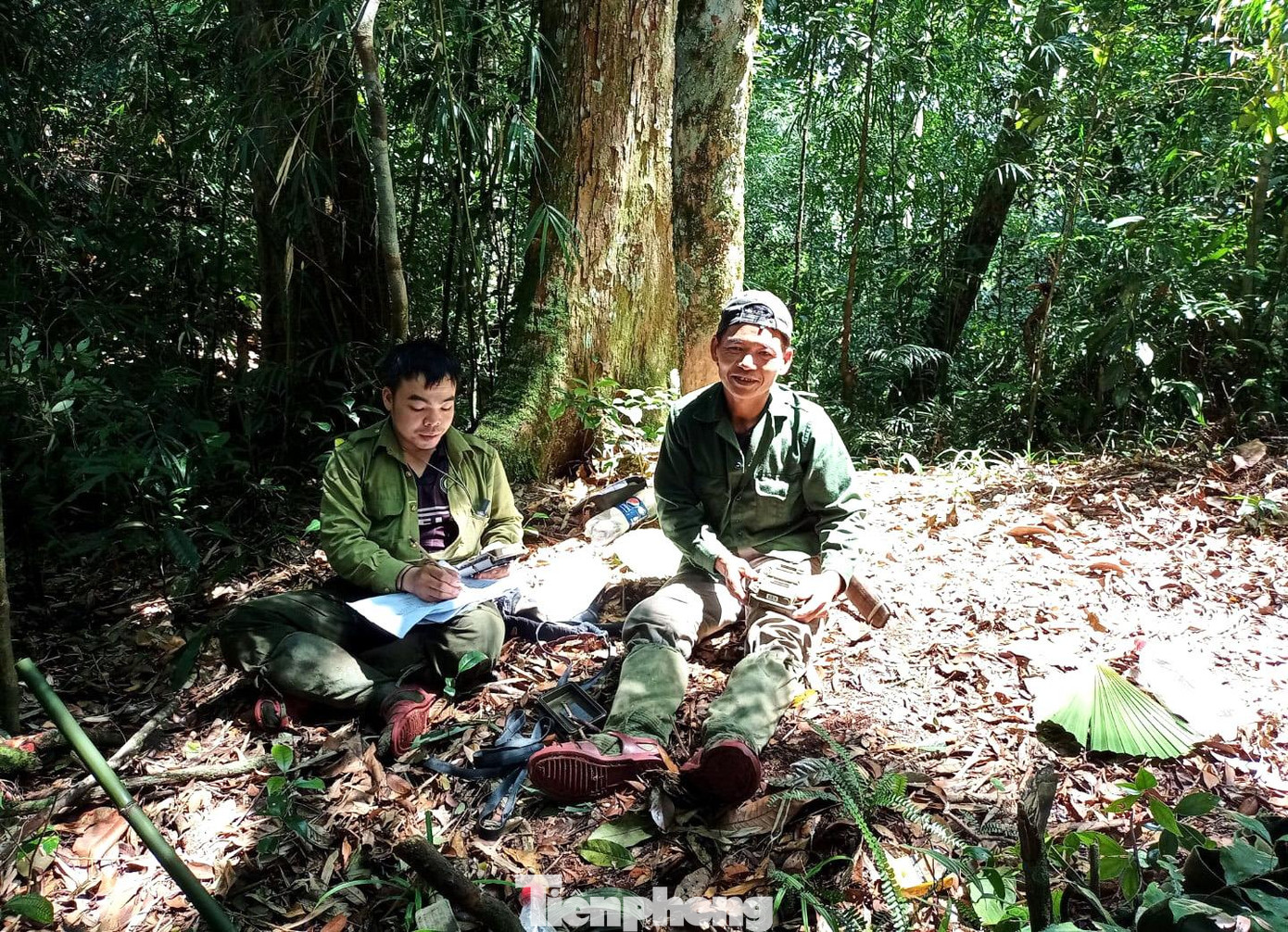 Mỗi cụm cách nhau 1 km đường chim bay và được thiết kế theo hình vuông bao gồm 4 cụm cách nhau 500m đường chim bay. Tại địa điểm đặt máy sẽ tiến hành đặt 2 bẫy ảnh nằm đối diện nhau, cách nhau 5-10m. Mỗi bẫy ảnh đặt cách mặt đất 10-30 cm phụ thuộc vào điều kiện địa hình. Mỗi cụm cách nhau 1 km đường chim bay và được thiết kế theo hình vuông bao gồm 4 cụm cách nhau 500m đường chim bay. Tại địa điểm đặt máy sẽ tiến hành đặt 2 bẫy ảnh nằm đối diện nhau, cách nhau 5-10m. Mỗi bẫy ảnh đặt cách mặt đất 10-30 cm phụ thuộc vào điều kiện địa hình.