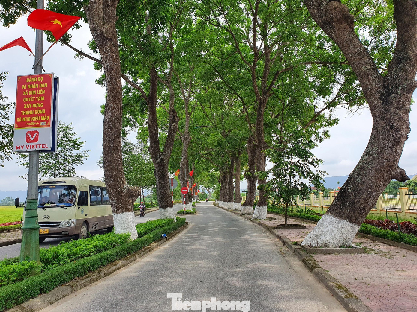 Vào những ngày nắng nóng, hàng cây tỏa bóng mát thanh bình, nhiều người dừng chân dưới tán cây để nghỉ ngơi. Từ lâu, hàng cây xà cừ đã trở thành 1 biểu tượng đẹp ở quê hương Người.