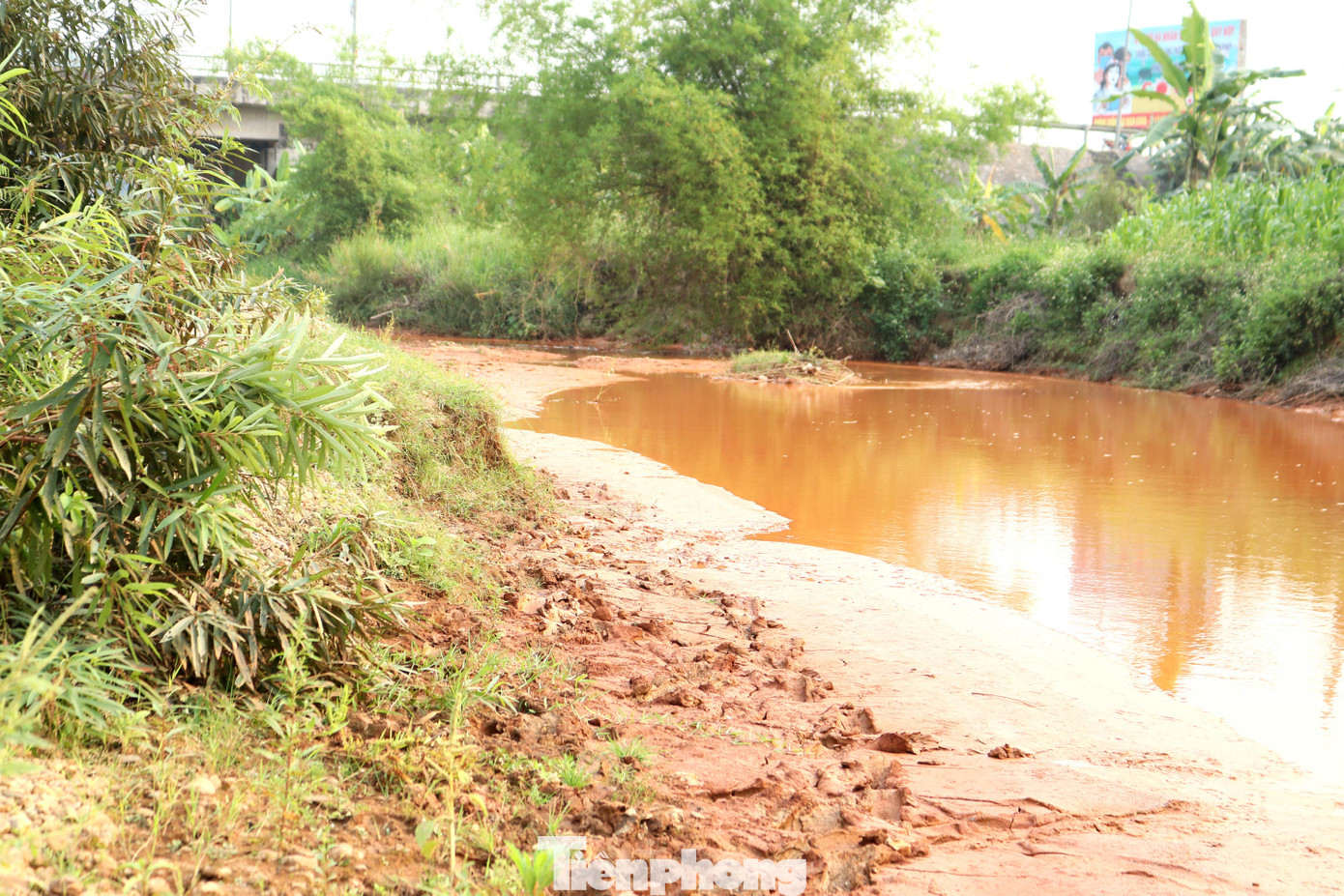 UBND huyện Quỳ Hợp cũng đã nhiều lần xuống làm việc tại các xã Châu Hồng, Châu Tiến, Châu Thành, Liên Hợp. Tuy nhiên, qua kiểm tra các đơn vị khai thác quặng thiếc theo hình thức lộ thiên không phát hiện tình trạng xả nước thải đục ra sông. Đối với các đơn vị khai thác quặng thiếc theo hình thức hầm lò, báo cáo đánh giá tác động môi trường có nhiều nội dung phức tạp, huyện không đủ chuyên môn để kiểm tra. UBND huyện Quỳ Hợp cũng đã nhiều lần xuống làm việc tại các xã Châu Hồng, Châu Tiến, Châu Thành, Liên Hợp. Tuy nhiên, qua kiểm tra các đơn vị khai thác quặng thiếc theo hình thức lộ thiên không phát hiện tình trạng xả nước thải đục ra sông. Đối với các đơn vị khai thác quặng thiếc theo hình thức hầm lò, báo cáo đánh giá tác động môi trường có nhiều nội dung phức tạp, huyện không đủ chuyên môn để kiểm tra.