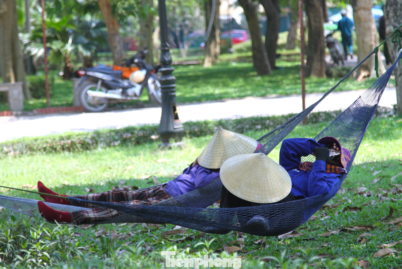 Người nằm dưới bóng cây để nghỉ ngơi, người thì nằm ngủ để chuẩn bị cho một buổi chiều làm việc.