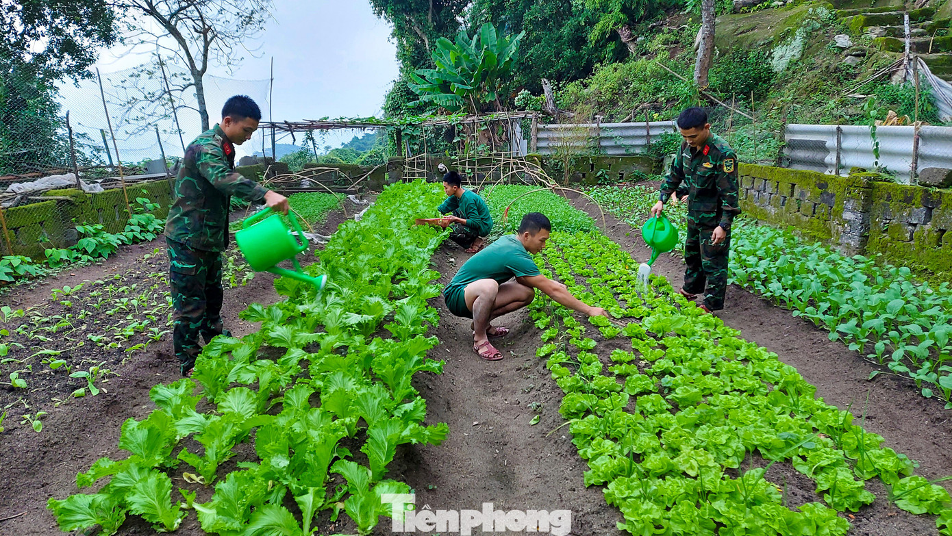 Binh nhất Phan Thanh Tuyên cho hay: "Sau một ngày thực hiện nhiệm vụ, đến chiều là anh em trong đơn vị lại cùng nhau ra chăm sóc vườn rau, mỗi người mỗi việc, người vun luống, người nhổ cỏ, tưới nước. Trồng rau canh tác không chỉ cải thiện bữa ăn mà còn giúp chúng tôi hoàn thiện bản thân từ những điều nhỏ nhất, từ những công việc bình thường, dân dã".