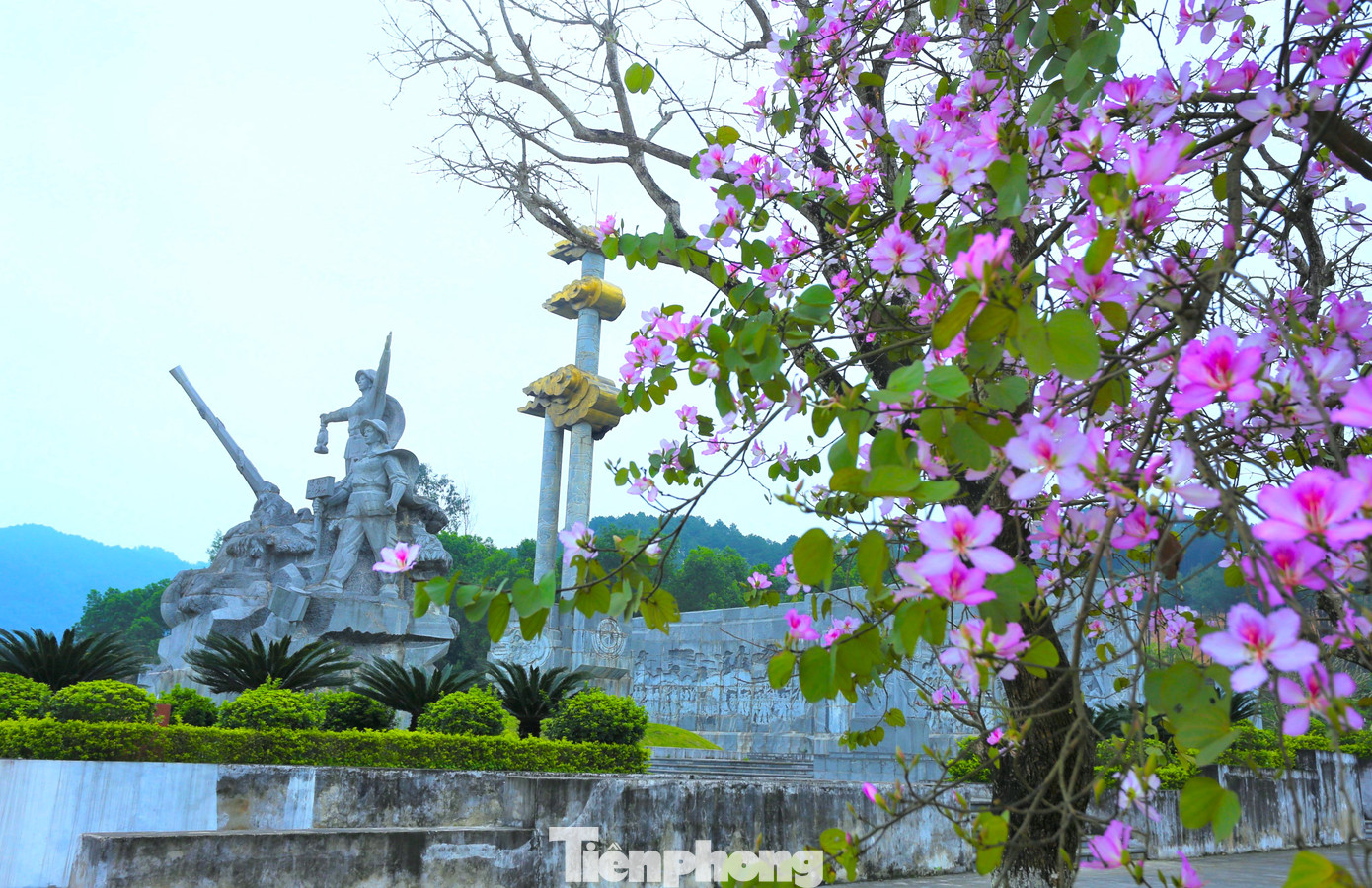 Sáng 31/10/1968, 13 chiến sĩ TNXP của tiểu đội thép, tiểu đội cảm tử thuộc Đại đội 317 - Đội 65 - Tổng đội TNXP chống Mỹ, cứu nước tỉnh Nghệ An đã anh dũng hy sinh trong lúc đang làm nhiệm vụ. Truông Bồn đã trở thành địa chỉ đỏ giáo dục truyền thống yêu nước cho tuổi trẻ, là địa chỉ văn hóa tâm linh đón hàng vạn đồng bào, chiến sĩ về đây tri ân, thăm viếng anh linh các anh hùng, liệt sĩ hôm nay và mai sau.