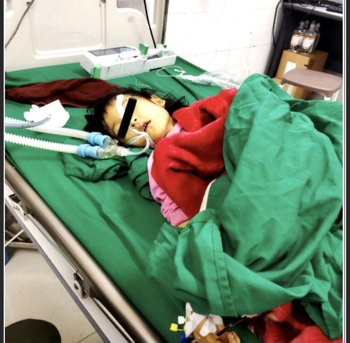 Bé V. cấp cứu tại bệnh viện sau khi dùng lá lộc mại để chữa táo bón. Bé V. cấp cứu tại bệnh viện sau khi dùng lá lộc mại để chữa táo bón.