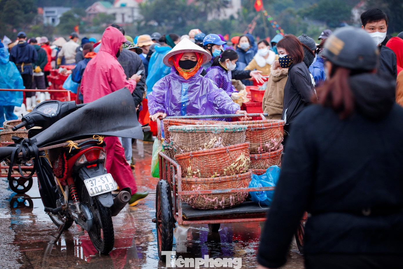 Những ngày qua, tại huyện Diễn Châu đã có 1.237 tàu thuyền, trong đó có 228 tàu đánh bắt xa bờ đều đã xuất hành rời bến.