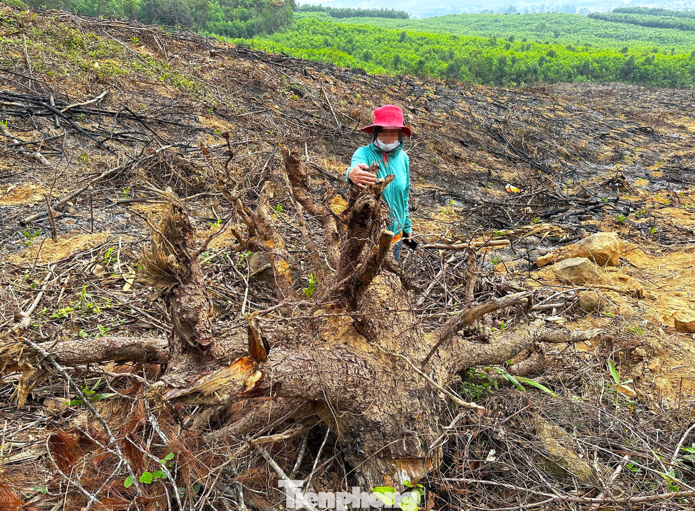Hiện sự việc đang được cơ quan chức năng vào cuộc, xác minh làm rõ. Hiện sự việc đang được cơ quan chức năng vào cuộc, xác minh làm rõ.