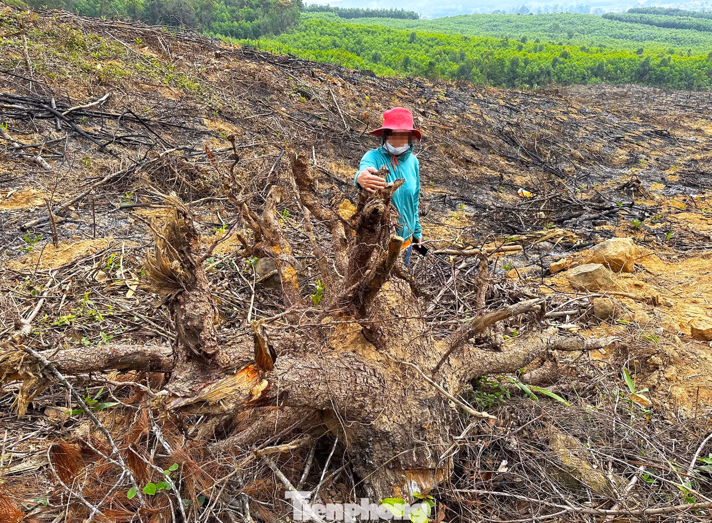 Hiện sự việc đang được cơ quan chức năng vào cuộc, xác minh làm rõ. Hiện sự việc đang được cơ quan chức năng vào cuộc, xác minh làm rõ.