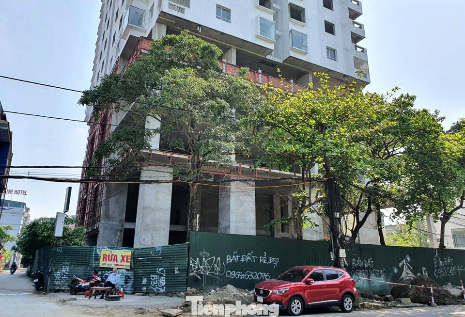 Ngoài dự án nói trên, công ty BMC cũng đang có dự án Trung tâm thương mại, văn phòng cho thuê và căn hộ cao cấp BMC - Vinh - Plaza tại phường Quán Bàu (TP.Vinh). Dự án được UBND tỉnh Nghệ An phê duyệt vào năm 2007, trên diện tích 11.200 m2 ở ngã tư ga Vinh, giao nhau giữa đường Mai Hắc Đế, Phan Bội Châu, Nguyễn Sỹ Sách và đường Lê Lợi.