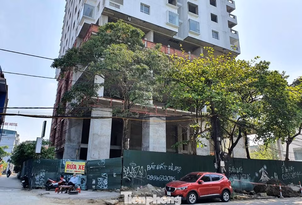Ngoài dự án nói trên, công ty BMC cũng đang có dự án Trung tâm thương mại, văn phòng cho thuê và căn hộ cao cấp BMC - Vinh - Plaza tại phường Quán Bàu (TP.Vinh). Dự án được UBND tỉnh Nghệ An phê duyệt vào năm 2007, trên diện tích 11.200 m2 ở ngã tư ga Vinh, giao nhau giữa đường Mai Hắc Đế, Phan Bội Châu, Nguyễn Sỹ Sách và đường Lê Lợi.