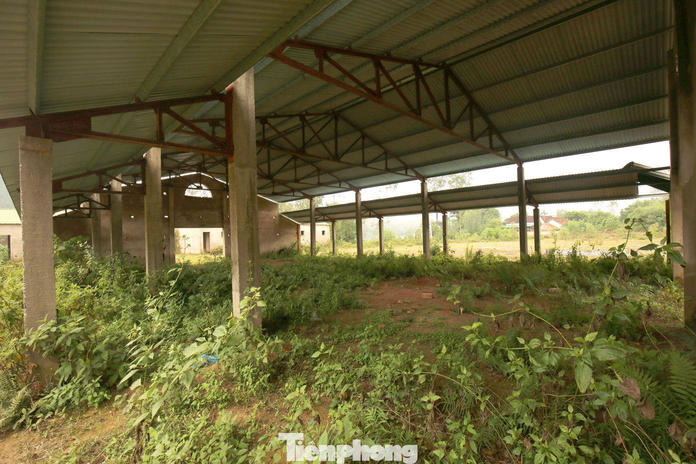 Một cán bộ phòng Quản lý thương mại, Sở Công thương Nghệ An cho hay, toàn tỉnh Nghệ An hiện có 371 chợ đang hoạt động. Đối với những chợ đang dừng hoạt động, trường hợp đã dùng mọi biện pháp để khuyến khích nhưng vẫn không thể họp được chợ, các địa phương có thể đề xuất UBND tỉnh và các ban ngành chuyển đổi mục đích sử dụng để tránh lãng phí tiền đầu tư cũng như quỹ đất.