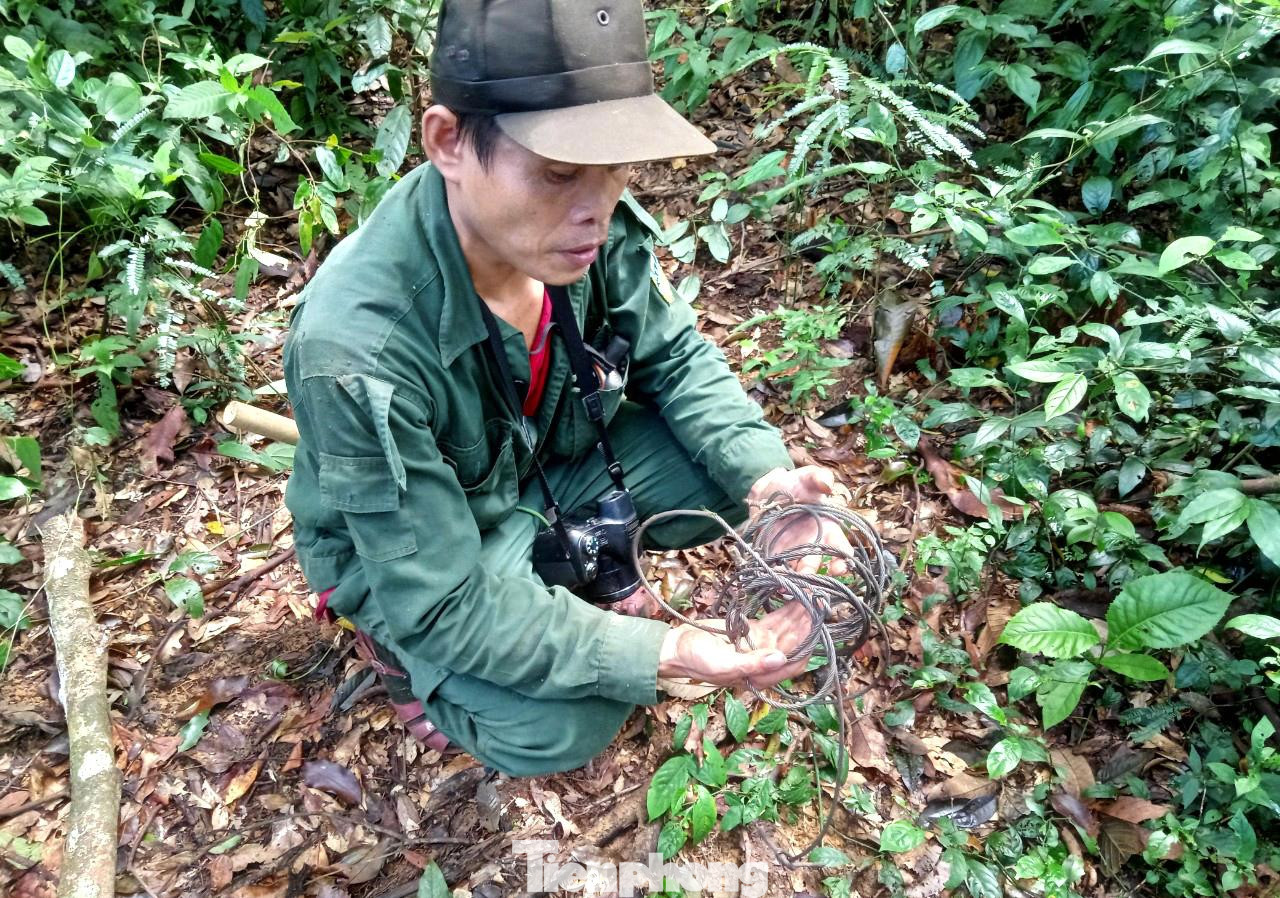 Từ thợ săn khét tiếng, anh Kính chuyển mình trở thành người chuyên đi tháo gỡ bẫy thú trong rừng Từ thợ săn khét tiếng, anh Kính chuyển mình trở thành người chuyên đi tháo gỡ bẫy thú trong rừng
