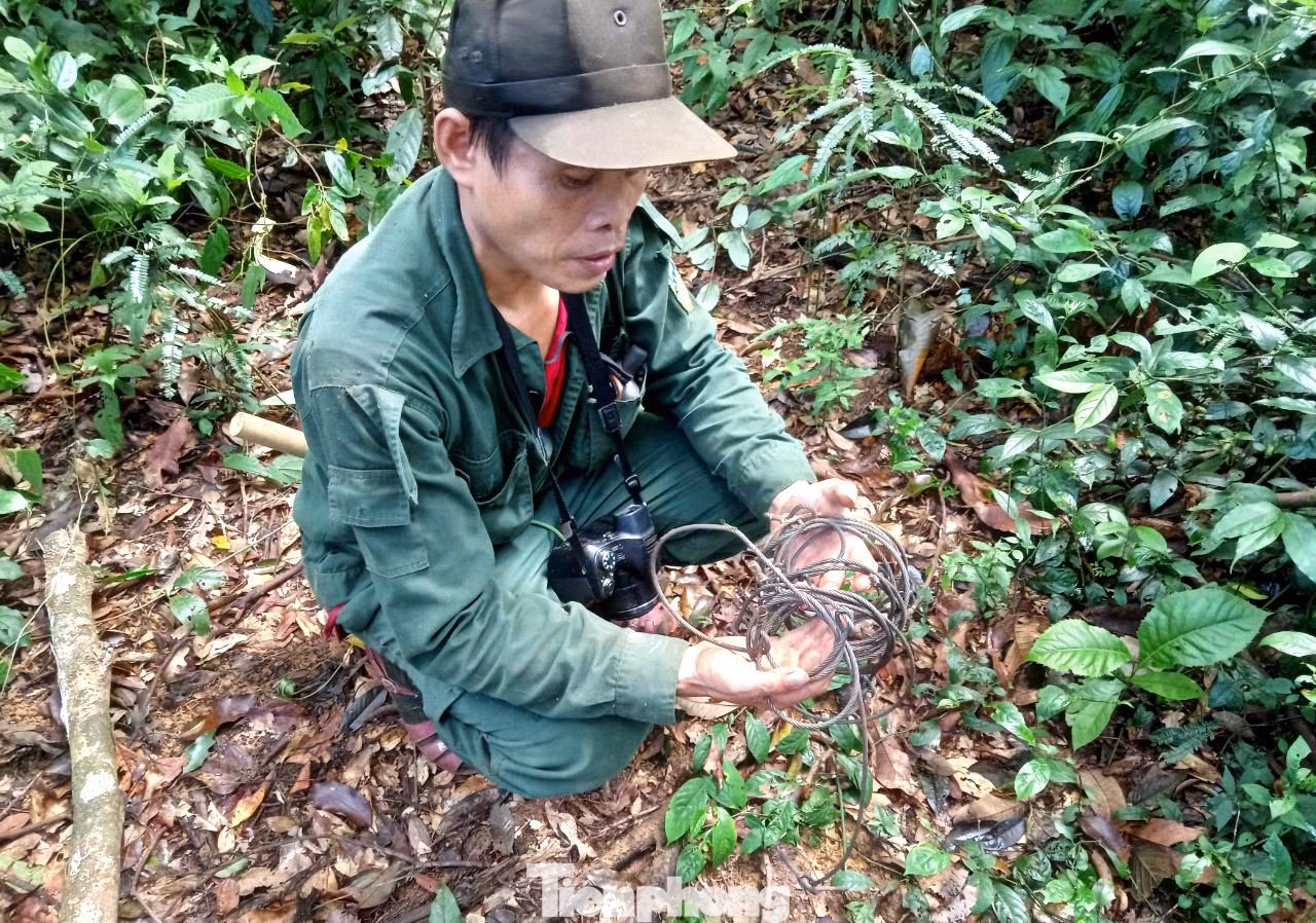 Từ thợ săn khét tiếng, anh Kính chuyển mình trở thành người chuyên đi tháo gỡ bẫy thú trong rừng