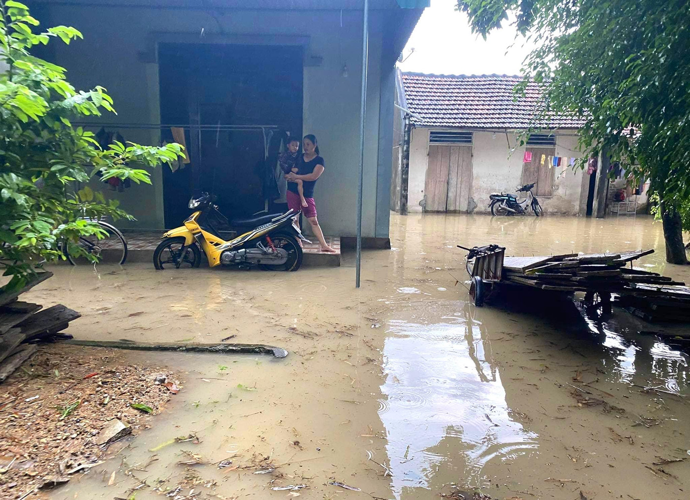 Mưa lớn ngập sâu trong vườn nhà dân. Mưa lớn ngập sâu trong vườn nhà dân.