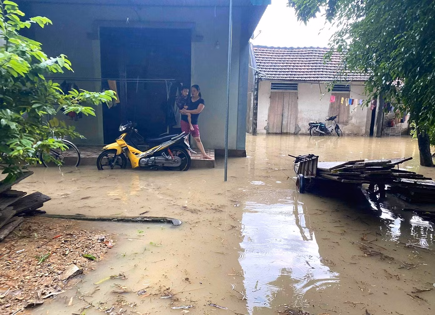 Mưa lớn ngập sâu trong vườn nhà dân.