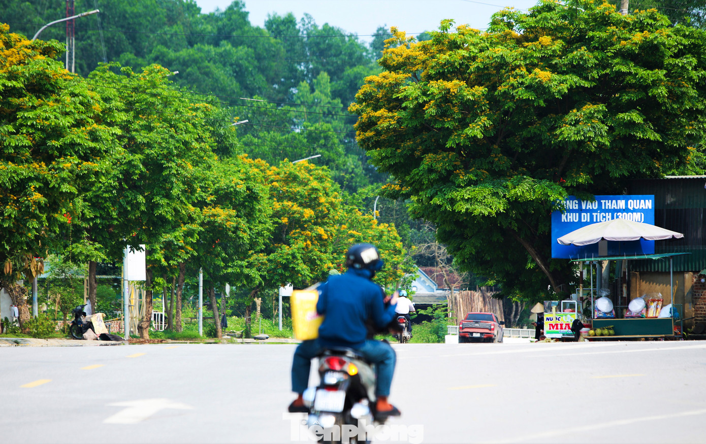 Ông Trần Đình Ước - Trưởng ban quản lý Khu di tích Ngã ba Đồng Lộc cho biết, năm 2018, đơn vị đã trồng hàng chục cây giáng hương ven đường để tạo bóng mát, lan tỏa sắc xanh cho mảnh đất từng hứng chịu hàng nghìn vết thương của bom đạn.